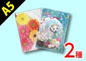 A5クリアファイル 2種同時発注