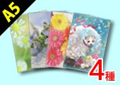 A5クリアファイル 4種同時発注