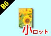 B6クリアファイル オンデマンド(小ロット)