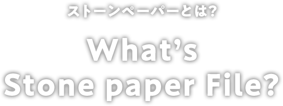 ストーンファイルとは？