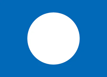 白版データ
