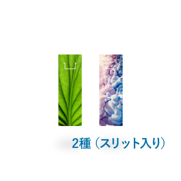 クリアしおり6種同時発注（スリット入り）