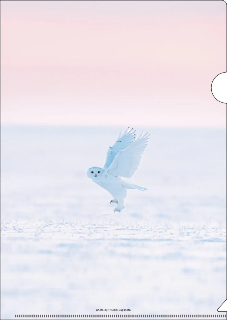 小凪屋様