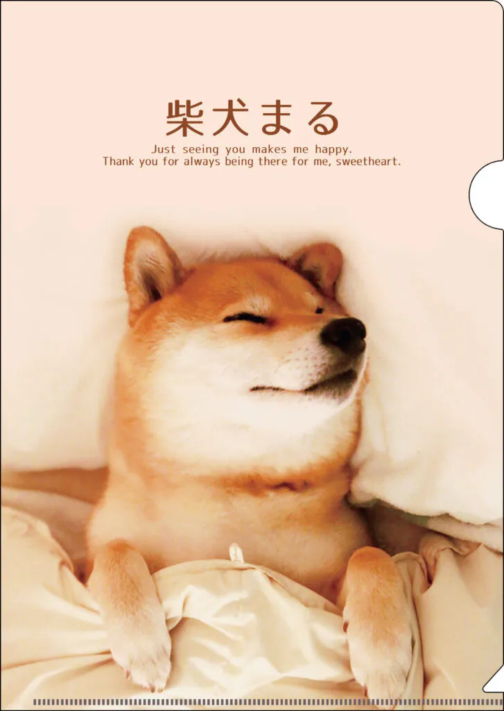 bloomax株式会社様