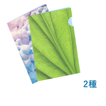 A4クリアファイル 2種同時発注